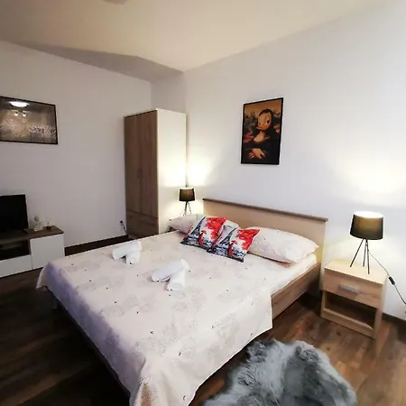 Spacious Studio-apartment *